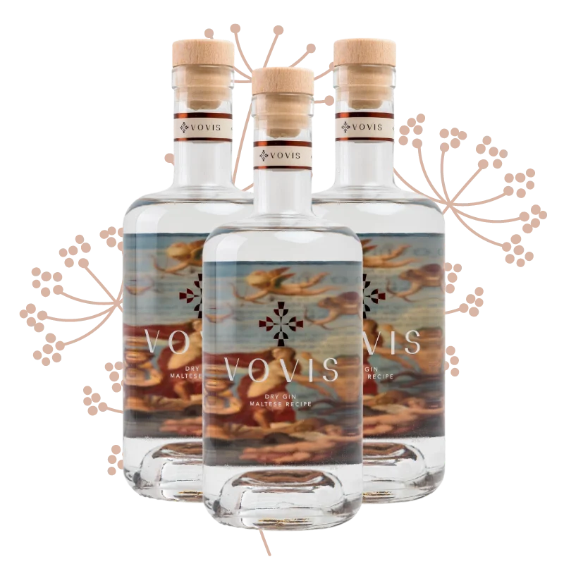 x3 VOVIS Gin Bottle Pack